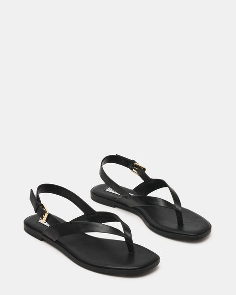 סטיב מאד - סנדלי אצבע שטוחים מעור NISSI בשחור